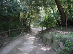柿田川公園の写真のサムネイル写真2