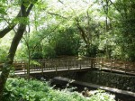 柿田川公園の写真のサムネイル写真3