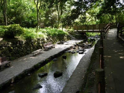 柿田川公園の写真6