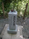 柿田川公園の写真のサムネイル写真10