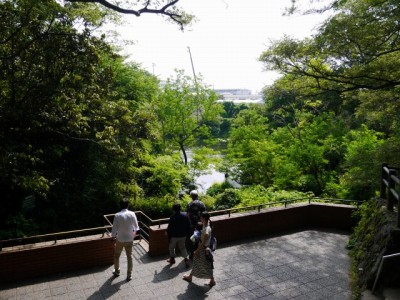 柿田川公園の写真12