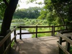 柿田川公園の写真のサムネイル写真34