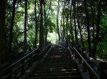 柿田川公園の写真のサムネイル写真40