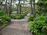 沼津御用邸記念公園の写真のサムネイル写真12