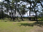 沼津御用邸記念公園の写真のサムネイル写真28