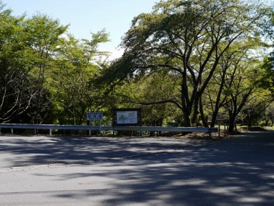 駿河平自然公園の写真