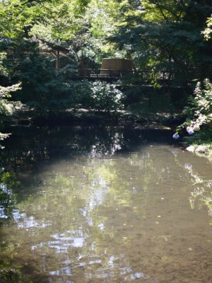駿河平自然公園の写真5