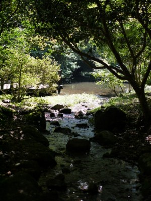 駿河平自然公園の写真9