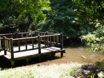 駿河平自然公園の写真のサムネイル写真9
