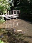 駿河平自然公園の写真のサムネイル写真10