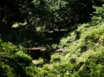 駿河平自然公園の写真のサムネイル写真15