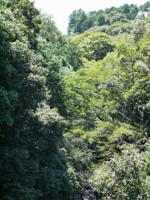 駿河平自然公園の写真20