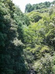 駿河平自然公園の写真のサムネイル写真19