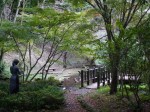 駿河平自然公園の写真のサムネイル写真20