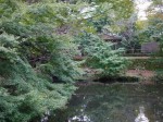 駿河平自然公園の写真のサムネイル写真21
