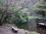 駿河平自然公園の写真のサムネイル写真22