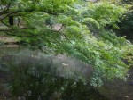 駿河平自然公園の写真のサムネイル写真23
