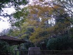 駿河平自然公園の写真のサムネイル写真24