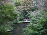 駿河平自然公園の写真のサムネイル写真25