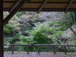 駿河平自然公園の写真のサムネイル写真26