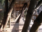 らんの里堂ヶ島の写真のサムネイル写真2