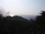 らんの里堂ヶ島の写真のサムネイル写真9