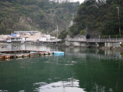 下田海中水族館の写真3