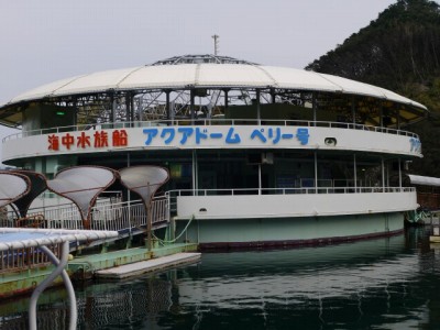 下田海中水族館の写真9