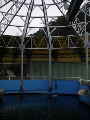 下田海中水族館の写真14