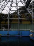 下田海中水族館の写真のサムネイル写真13