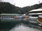 下田海中水族館の写真のサムネイル写真16