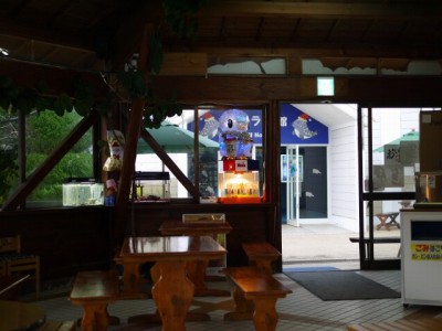 下田海中水族館の写真28