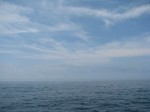 石廊崎岬めぐり遊覧船の写真のサムネイル写真16