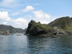石廊崎岬めぐり遊覧船の写真のサムネイル写真24