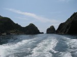 石廊崎岬めぐり遊覧船の写真のサムネイル写真25