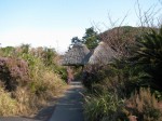 石廊崎ジャングルパークの写真のサムネイル写真3