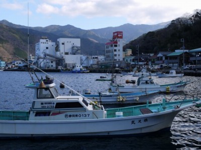 戸田港の写真9