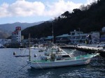 戸田港の写真のサムネイル写真13