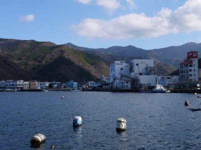 戸田港の写真15