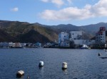 戸田港の写真のサムネイル写真14