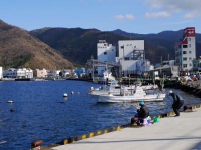 戸田港の写真19