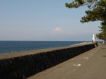 御浜岬公園の写真のサムネイル写真11