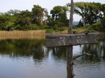 神池の写真のサムネイル写真2