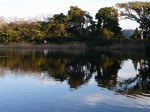 神池の写真のサムネイル写真3