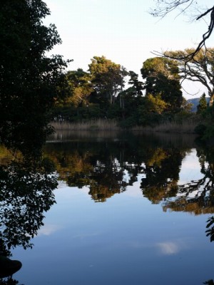 神池の写真7