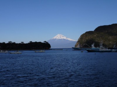富士見海岸通りの写真5