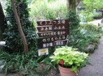 楽寿園の写真のサムネイル写真5