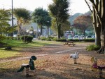 狩野川記念公園の写真のサムネイル写真8