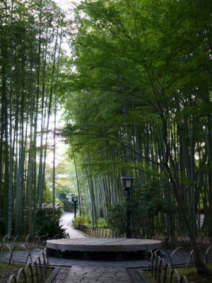 竹林の小径の写真7