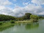 門池公園の写真のサムネイル写真10